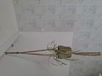 Macramehangers met pot en hangplanten, Ophalen
