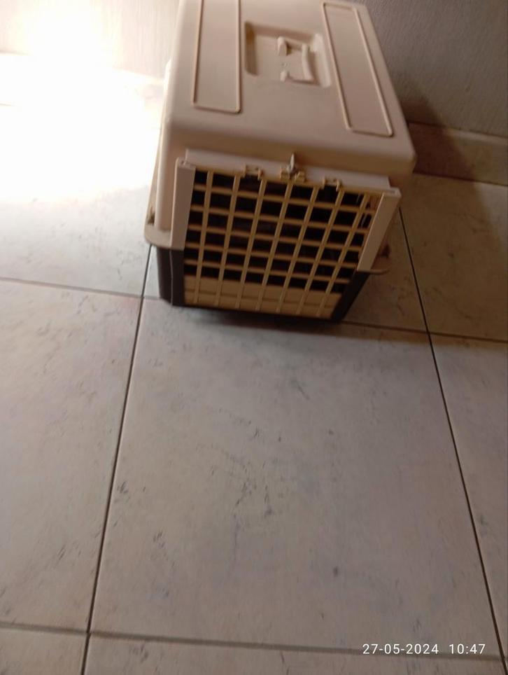 Transport box kat, Dieren en Toebehoren, Katten-accessoires, Zo goed als nieuw, Ophalen of Verzenden