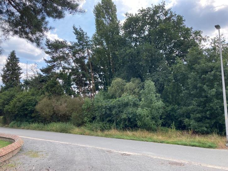 Bouwgrond te Lommel te koop, Immo, Gronden en Bouwgronden