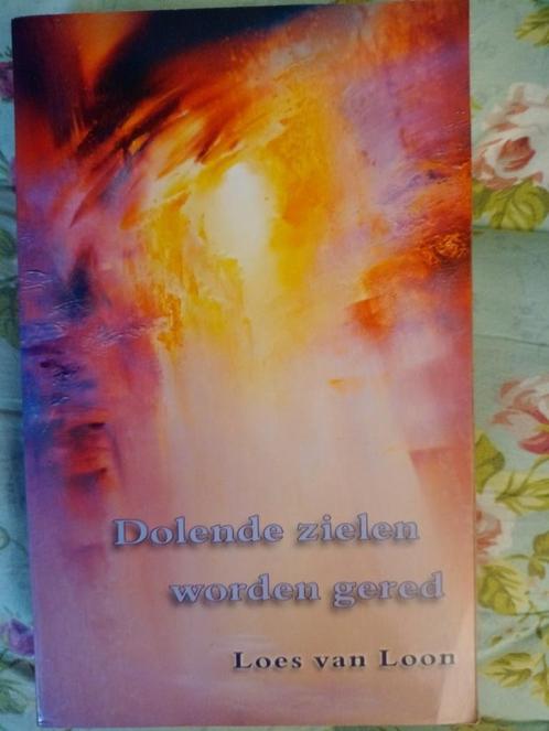 Dolende zielen worden gered, Boeken, Esoterie en Spiritualiteit, Zo goed als nieuw, Ophalen of Verzenden