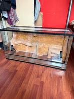 Mooi Terrarium 1005040 met 3D Achterwand – Glas – Goed, Dieren en Toebehoren, Ophalen, Zo goed als nieuw, Terrarium of Paludarium