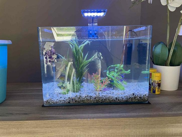 Aquarium, Animaux & Accessoires, Poissons | Aquariums & Accessoires, Comme neuf, Enlèvement
