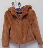 Kort teddy jasje- bruin-superzacht-SMAL., Kleding | Dames, Jassen | Winter, Ophalen of Verzenden, Bruin