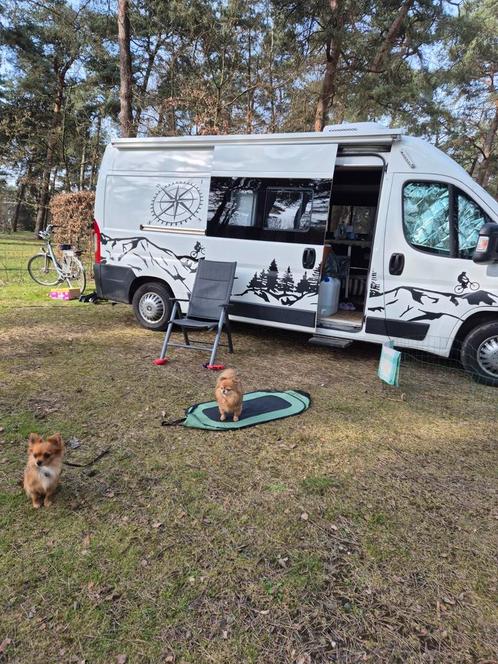 Camperwagen, Caravans en Kamperen, Mobilhomes, Particulier, Bus-model, Diesel, 5 tot 6 meter, Ophalen