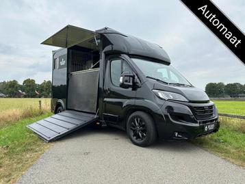 Fiat Ducato 2-paards paardenvrachtwagen automaat B-rijbewijs disponible aux enchères