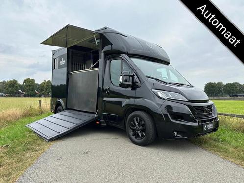 Fiat Ducato 2-paards paardenvrachtwagen automaat B-rijbewijs, Caravanes & Camping, Camping-cars, Entreprise, Fiat, Diesel