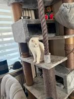 Xxl grote krabpaal, Dieren en Toebehoren, Ophalen, Gebruikt, Krabpaal
