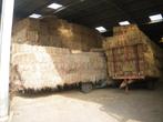 Hooibietenprefanerstro, Zakelijke goederen, Landbouw | Veevoer, Ophalen