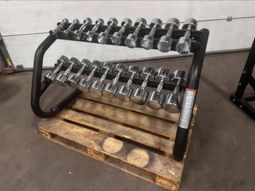 Technogym Chrome Dumbells 1kg t/m 10kg + Technogym Opbergrek, Enlèvement, Utilisé, Haltère