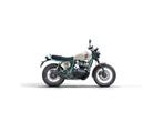 ROYAL ENFIELD Bear 650 249, Motoren, Motoren | Royal Enfield, Chopper, Bedrijf, 650 cc, 12 t/m 35 kW
