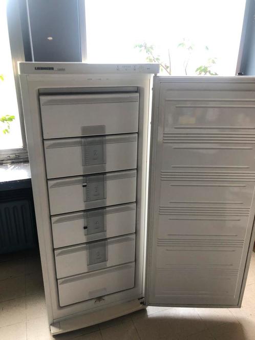 Diepvries Liebherr, Elektronische apparatuur, Vriezers en Diepvrieskisten, Ophalen