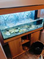 Juwel Aquarium 350 Liter, Dieren en Toebehoren, Vissen | Aquaria en Toebehoren, Ophalen of Verzenden, Zo goed als nieuw