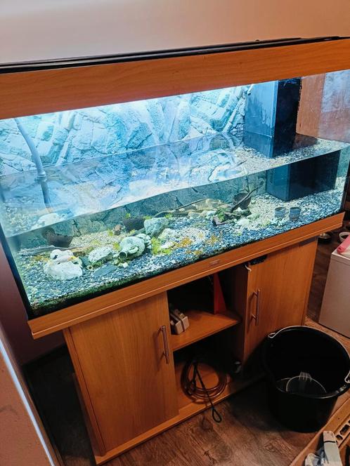 Juwel Aquarium 350 Liter, Dieren en Toebehoren, Vissen | Aquaria en Toebehoren, Zo goed als nieuw, Ophalen of Verzenden