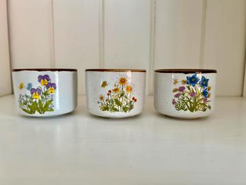 3 potjes Wild Flower beschikbaar voor biedingen