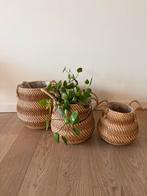 Set van 3 gevlochten rotan bloempotten, Ophalen, Zo goed als nieuw, Rond