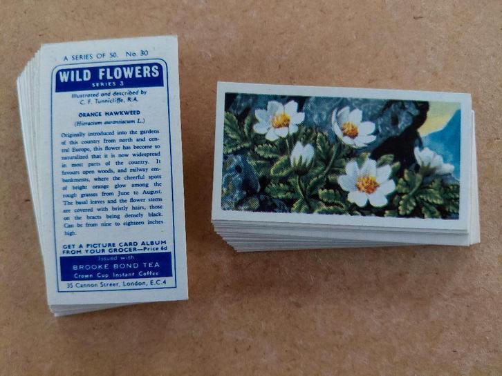 Wild Flowers series 3 complete set 50 chromos bloemen 1964, Collections, Photos & Gravures, Gravure, Nature, 1960 à 1980, Enlèvement ou Envoi