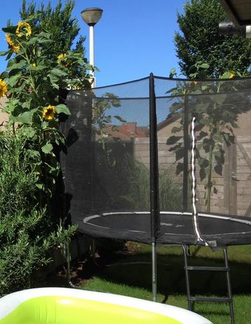 Trampoline Salto 251 cm avec filet de sécurité, Enlèvement, Comme neuf