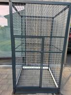 Buitenren kat over papegaai, Comme neuf, Enlèvement, Oiseaux, Zie beschrijving