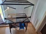 Terrarium, Dieren en Toebehoren, Ophalen of Verzenden, Zo goed als nieuw, Terrarium of Paludarium