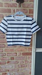Zara crop tshirt maat small, Kleding | Dames, T-shirts, Ophalen of Verzenden, Zo goed als nieuw, Korte mouw, Maat 36 (S)