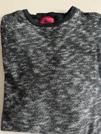 Hugo Boss trui, Vêtements | Hommes, Pulls & Vestes, Gris, Hugo boss, Enlèvement, Porté