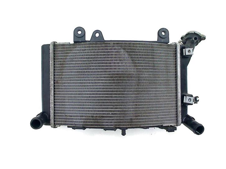 RADIATEUR BMW F 900 R 2018-2022 (F900R K83), Motoren, Onderdelen | BMW, Gebruikt