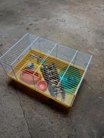 Hamster/muizen kooi (starterset), Dieren en Toebehoren, Ophalen, Kooi, Hamster