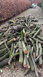 Brandhout, Enlèvement, Troncs d'arbres