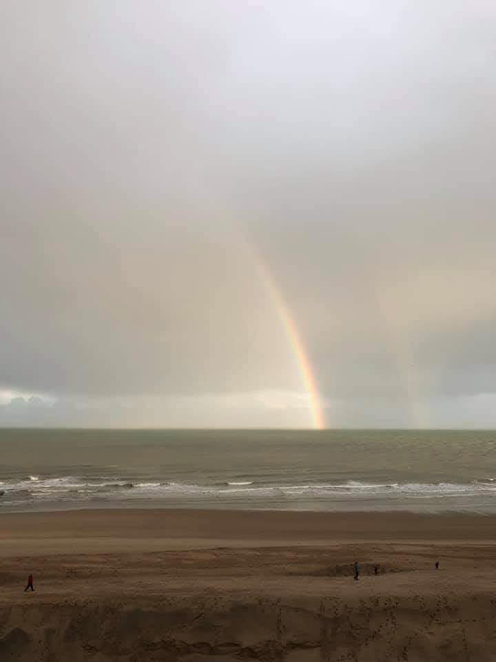 Vakantie studio aan ZEE, Vakantie, Vakantie | Zon en Strand