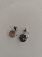 Zilverkleurige oorringen Twice as nice, Ophalen