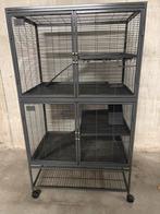 Kooi voor knaagdieren, Ophalen