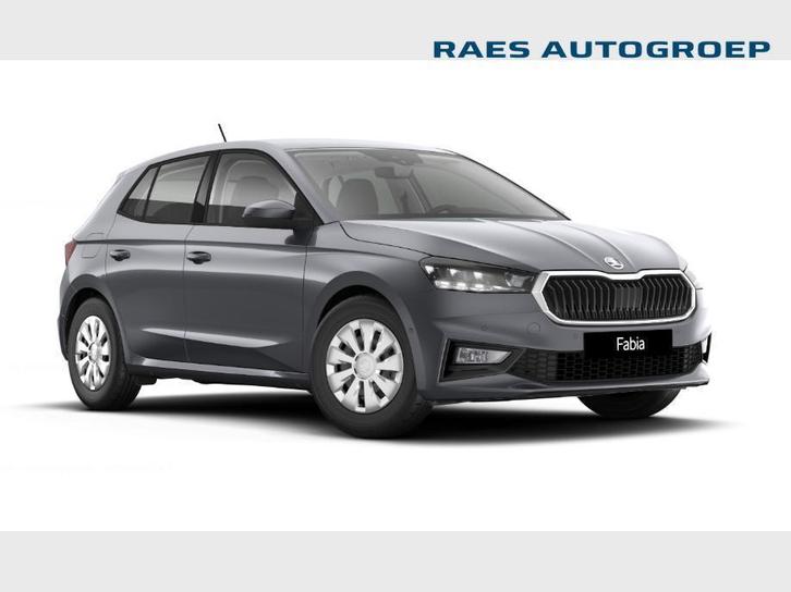 Skoda Fabia Fabia 1.0 TSI Family DSG, Auto's, Skoda, Fabia, Airbags, Airconditioning, Cruise Control, Elektrische ramen, Benzine