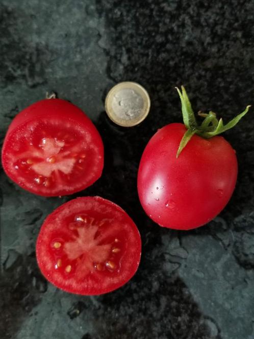 5 graines de tomates Melanie Ballet - petite tomate à viande, Jardin & Terrasse, Bulbes & Semences, Graine, Printemps, Plein soleil