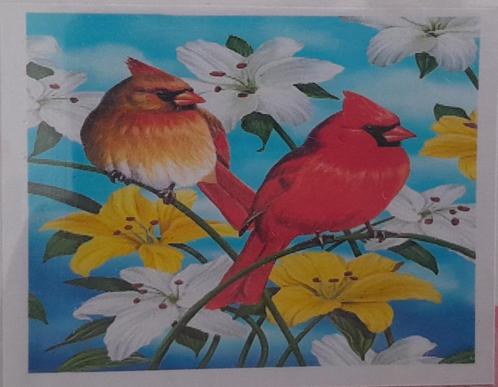 Diamond Painting - Ronde Steentjes - Vogels -  40*30cm, Hobby en Vrije tijd, Knutselen, Nieuw, Knutselwerk, Ophalen of Verzenden