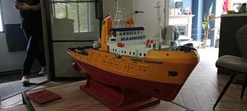 Te koop Mooie Happy Hunter beschikbaar voor biedingen