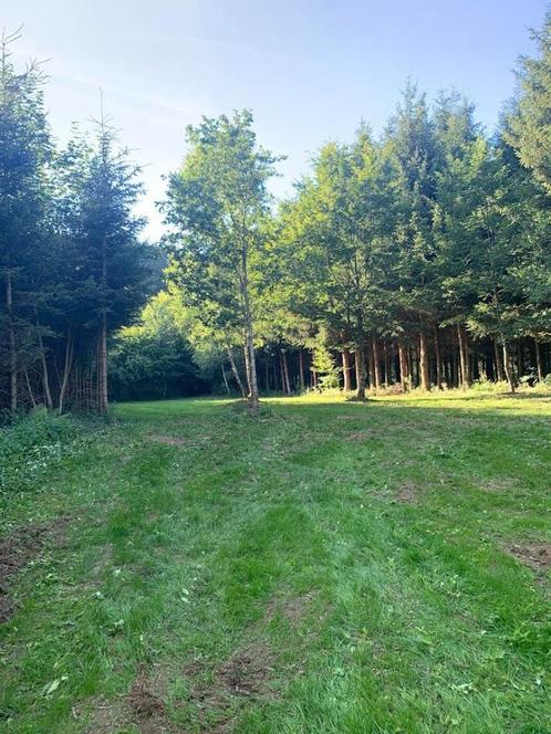 Terrain camping à louer le long de la Semois, Caravans en Kamperen, Tenten, Ophalen