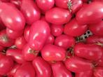 tomaten, niet besproeid, Diversen, Ophalen