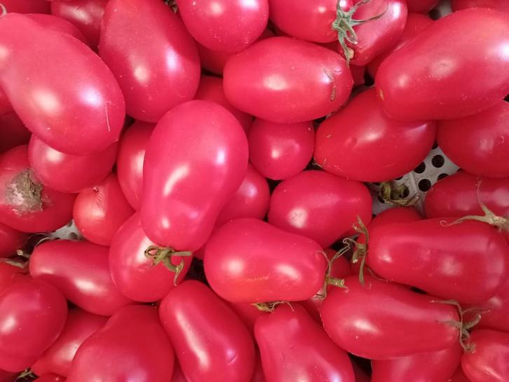 tomaten, niet besproeid, Diversen, Levensmiddelen, Ophalen