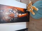 Cadre/ toile avec tigre et peluche tigre, Ophalen, Zo goed als nieuw