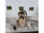 Pompe essence d'un Peugeot Partner, -, 3 mois de garantie, Utilisé, -