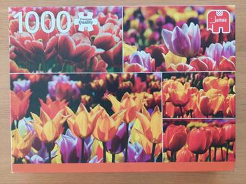 puzzel 1000 st - Jumbo - Hollandse tulpen beschikbaar voor biedingen