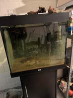 Juwel Lido 200 met meubel en Helialux, Dieren en Toebehoren, Ophalen, Gebruikt, Leeg aquarium