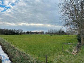 Weide voor paarden te huur beschikbaar voor biedingen