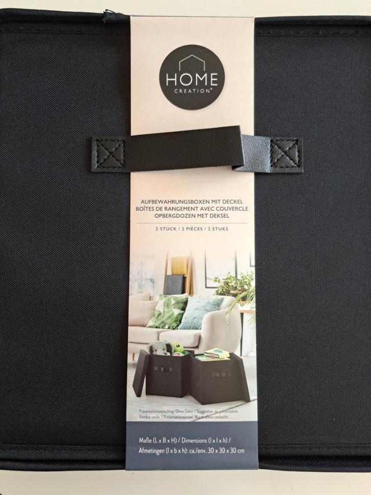 NEUF - Boîtes de rangement avec couvercle et poignées (2), Doe-het-zelf en Bouw, Kratten en Dozen, Nieuw, Doos, Minder dan 50 cm