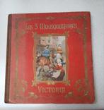 The 3 Musketeers - eerste deel, Ophalen of Verzenden, Gelezen, Prentenboek
