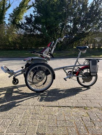 O Pair Van Raam Heinzmann ondersteuning en garantie beschikbaar voor biedingen