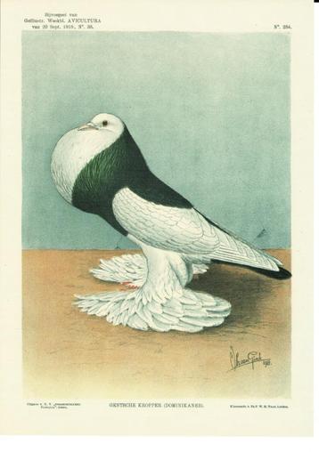 Heruitgave litho's rasduiven, Kropper