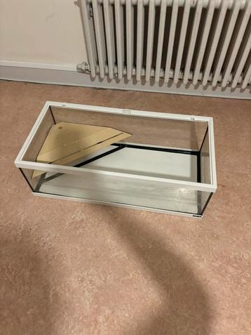 Aquarium voor schildpad, Tortue