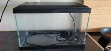 Aquarium beschikbaar voor biedingen