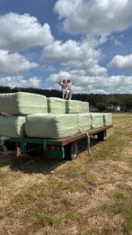 Hooi 2025. Mooi, schoon gewikkeld hooi. Grote balen., Dieren en Toebehoren, Ophalen, Vee